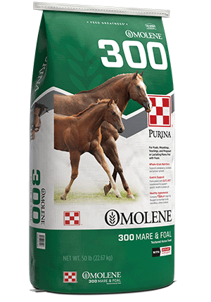 Purina Omolene 300 Mare + Foal 35SL - 50lb
