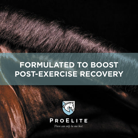 ProElite Top-Line Xtreme - 15lbs