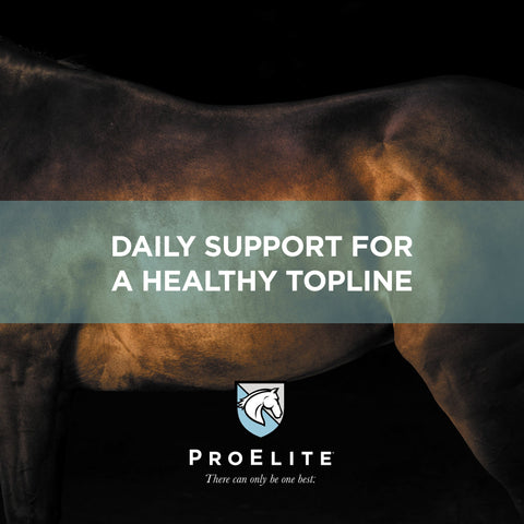 ProElite Top-Line Advanced Support - 2.2lbs