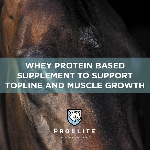 ProElite Top-Line Xtreme - 15lbs