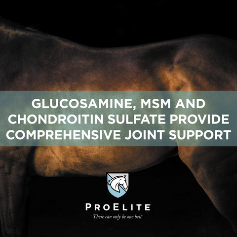 ProElite Joint - 3lbs
