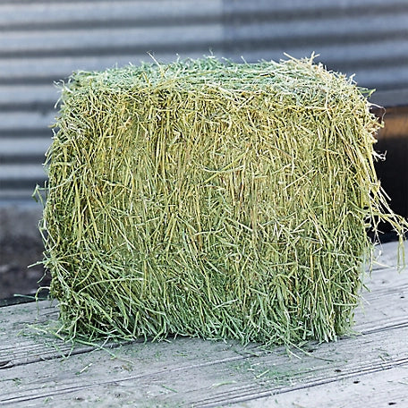 Alfalfa Compressed Bale - 50lbs