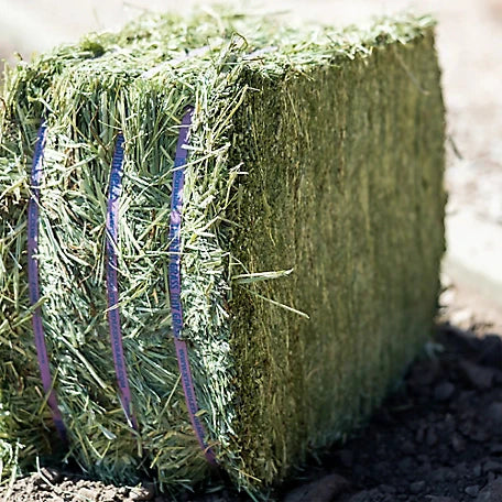 Timothy Grass Grab & Go Compressed Bale - 50lbs
