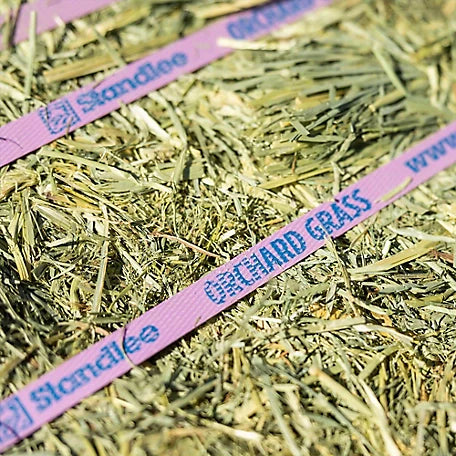 Orchard Grass Grab & Go Compressed Bale - 50lbs