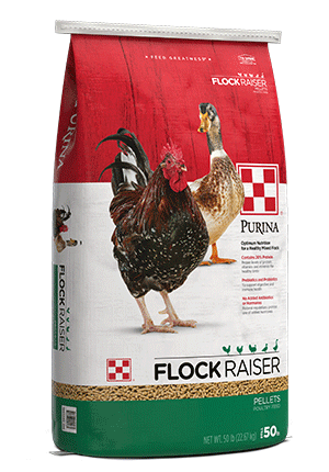 Purina Flock Raiser Pellets 61HM - 50lb