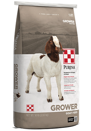 Purina Goat Grow 16 Plus Up 55MR - 50lb