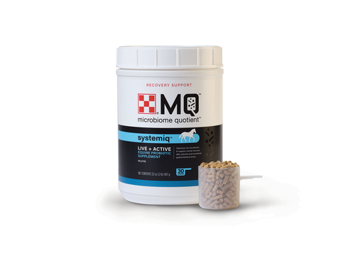 Purina Equine SystemIQ Supplement - 2lb