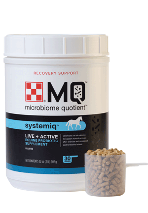 Purina Equine SystemIQ Supplement - 2lb