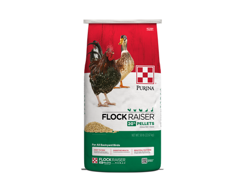 Purina Flock Raiser Pellets 61HM - 50lb
