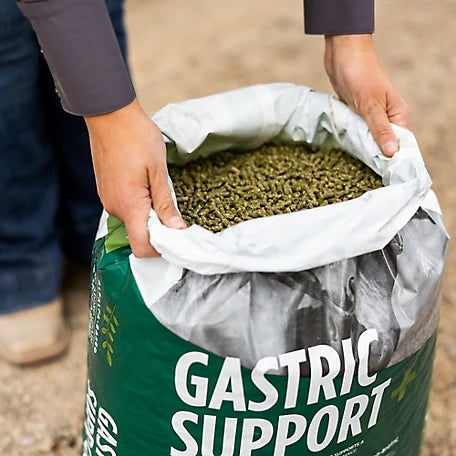 Forage Plus Gastric Support - 40lbs