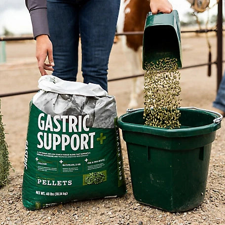 Forage Plus Gastric Support - 40lbs