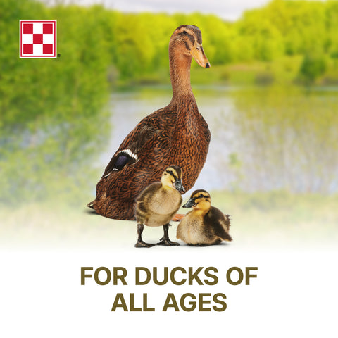 Purina Duck Pellets 61HJ