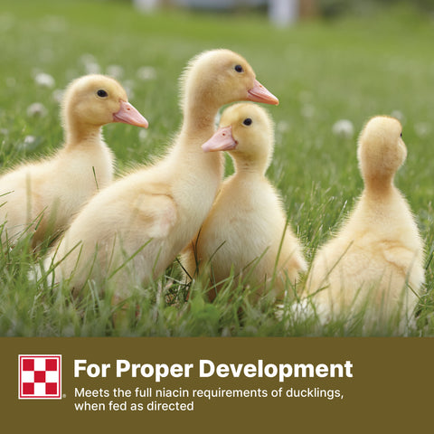 Purina Duck Pellets 61HJ