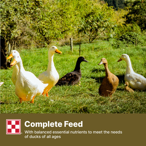 Purina Duck Pellets 61HJ