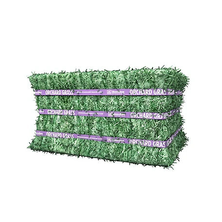 Orchard Grass Compressed Bale - 50lbs