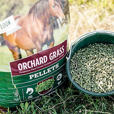 Orchard Grass Pellets - 40lbs