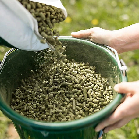 Certified Timothy Grass Pellets - 40lbs