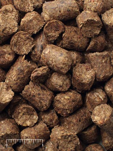 Mazuri Wild Herbivore Hi-Fiber Diet 5V05 - 50lb