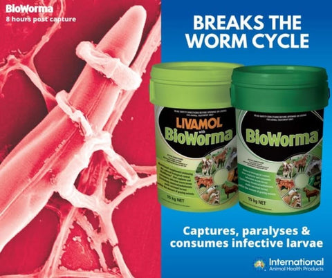 Livamol with BioWorma - 30lb