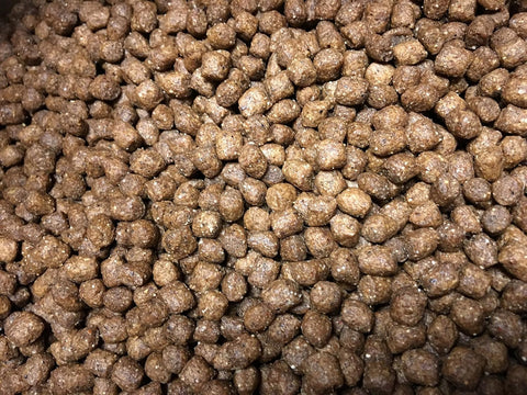 Valu-Pak Free 26-18 Active Adult