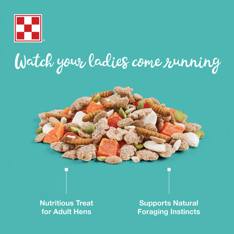 Purina Hen Treats Protein Blend 523G - 7.5lb