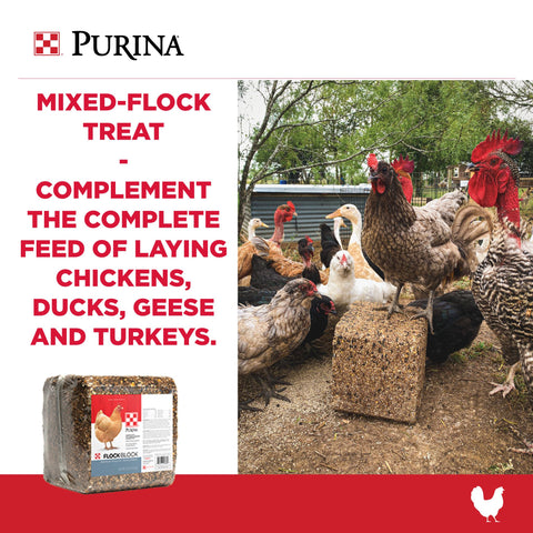 Purina Flock Block 61GP - 25lb