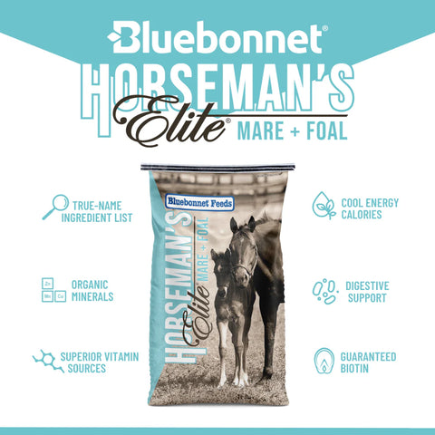 Bluebonnet - Horseman's Elite Mare & Foal Nugget