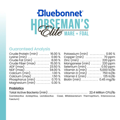 Bluebonnet - Horseman's Elite Mare & Foal Nugget