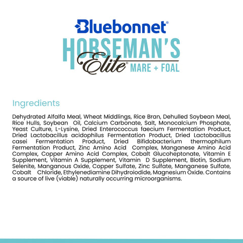 Bluebonnet - Horseman's Elite Mare & Foal Nugget