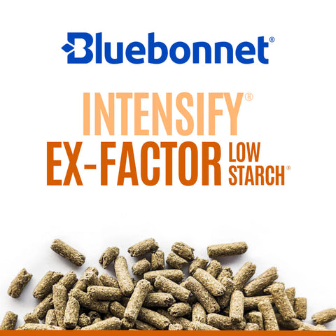 Bluebonnet - Intensify Ex-Factor Low Starch