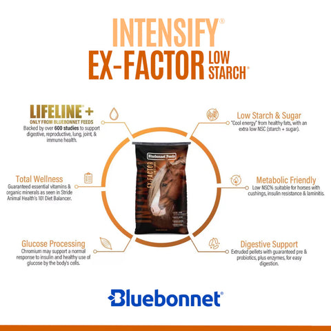 Bluebonnet - Intensify Ex-Factor Low Starch