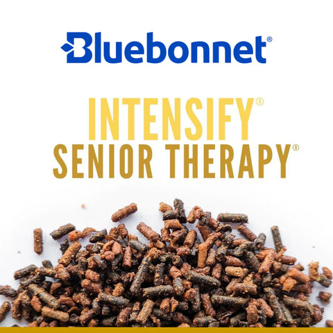 Bluebonnet - Intensify Senior Therapy
