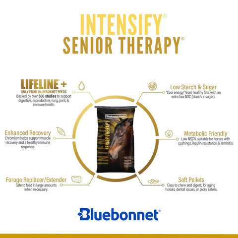 Bluebonnet - Intensify Senior Therapy