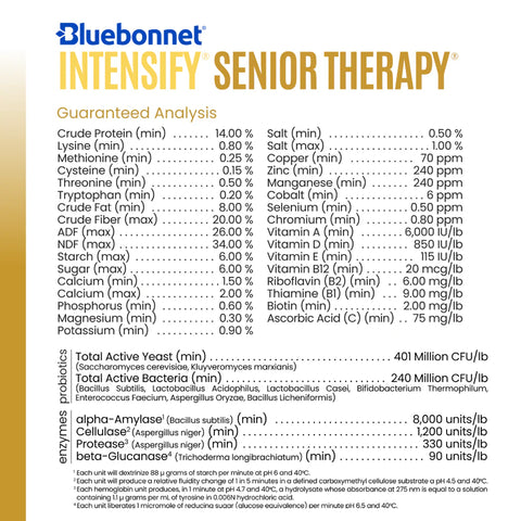Bluebonnet - Intensify Senior Therapy
