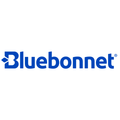 Bluebonnet