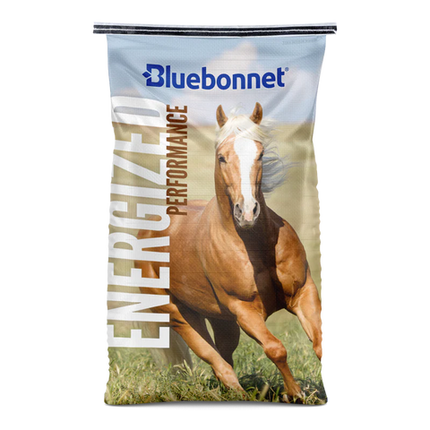 Bluebonnet - Energized Performance