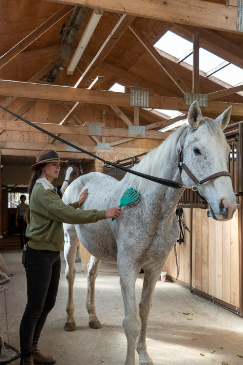 GroomRaker Equine Deshedding Tool