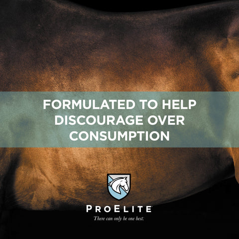 ProElite Foals First Milk Replacer Powder - 22lbs