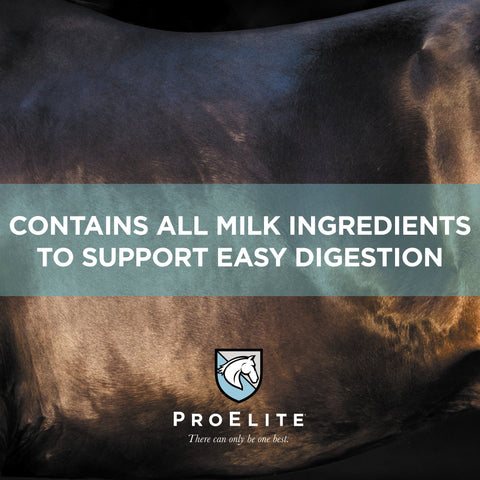 ProElite Foals First Milk Replacer Powder - 22lbs