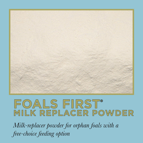 ProElite Foals First Milk Replacer Powder - 22lbs
