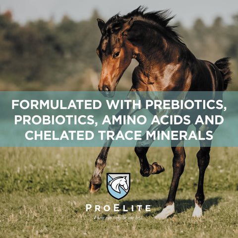 ProElite Foals First® Starter & Creep - 50lbs