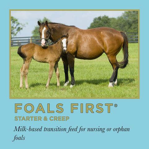 ProElite Foals First® Starter & Creep - 50lbs