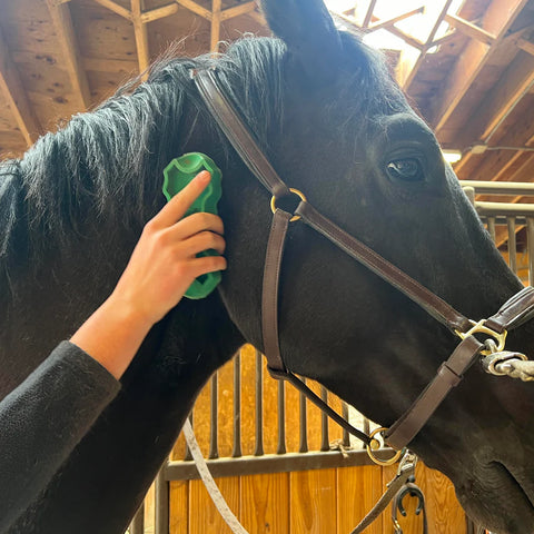 GroomBug Equine Grooming Brush