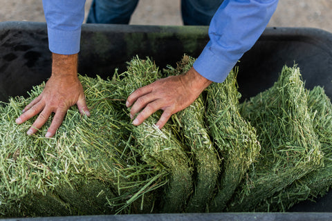 Alfalfa Compressed Bale - 50lbs