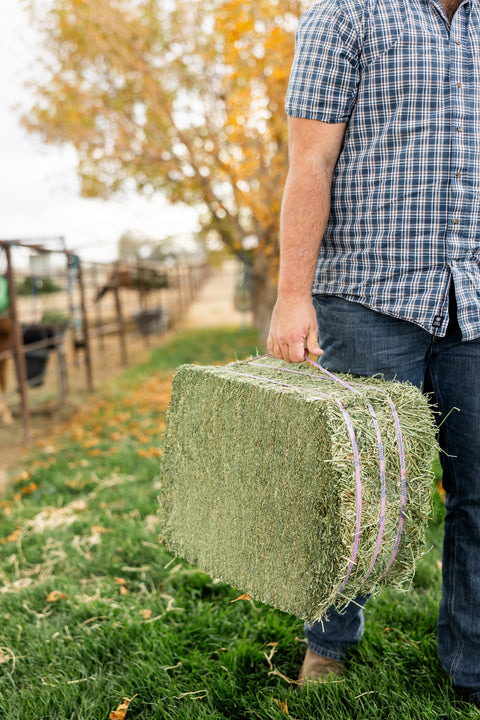Alfalfa Compressed Bale - 50lbs