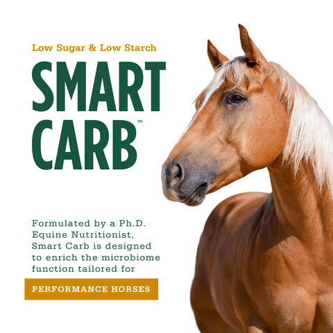 Smart Carb Performance - 40lbs
