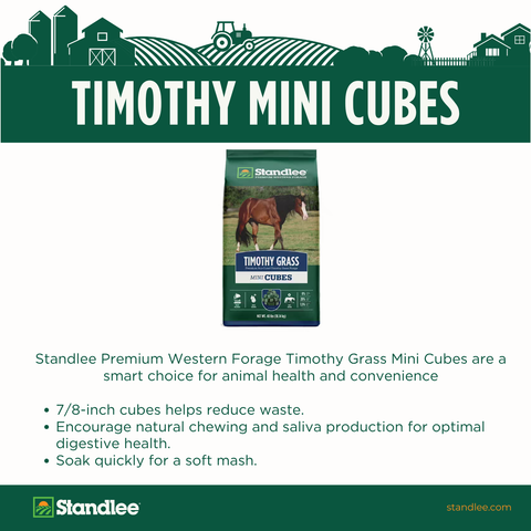 Timothy Mini Cubes - 40lb