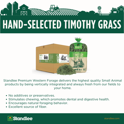 Hand-Selected Timothy Grass