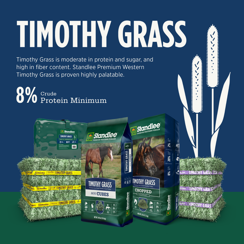 Timothy Mini Cubes - 40lb