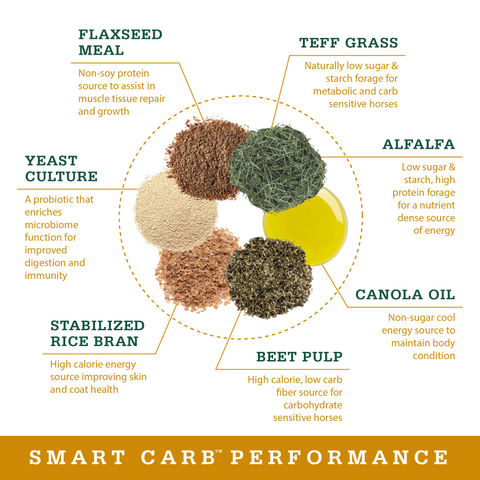 Smart Carb Performance - 40lbs